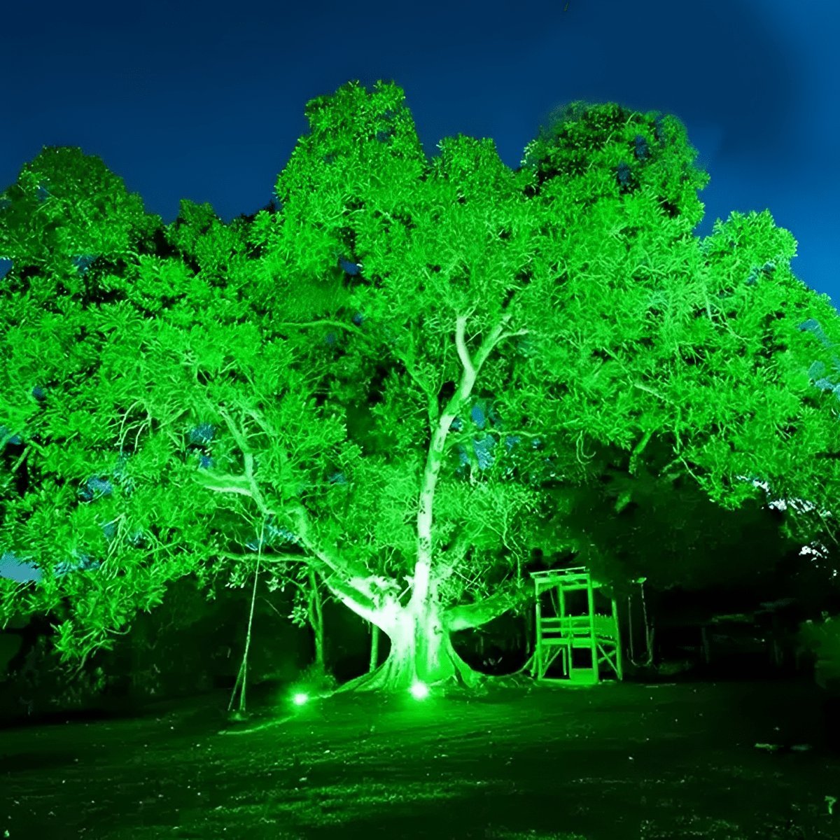 Waterproof Outdoor Landscape RGB Tree Spot Light With Remote Control